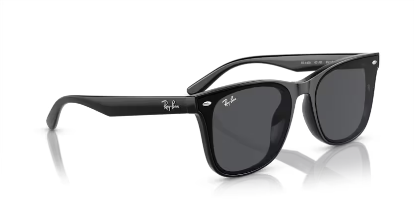Rayban 4420 601/87 65 erkek