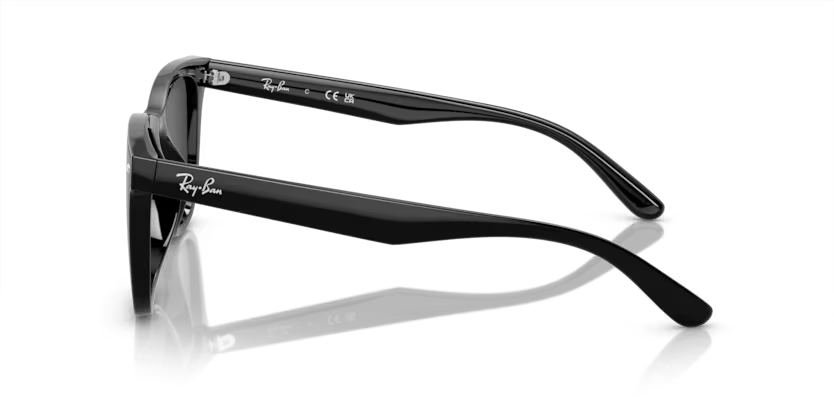 Rayban 4420 601/87 65 erkek