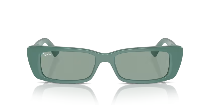 Rayban 4425 676282 54 kadın