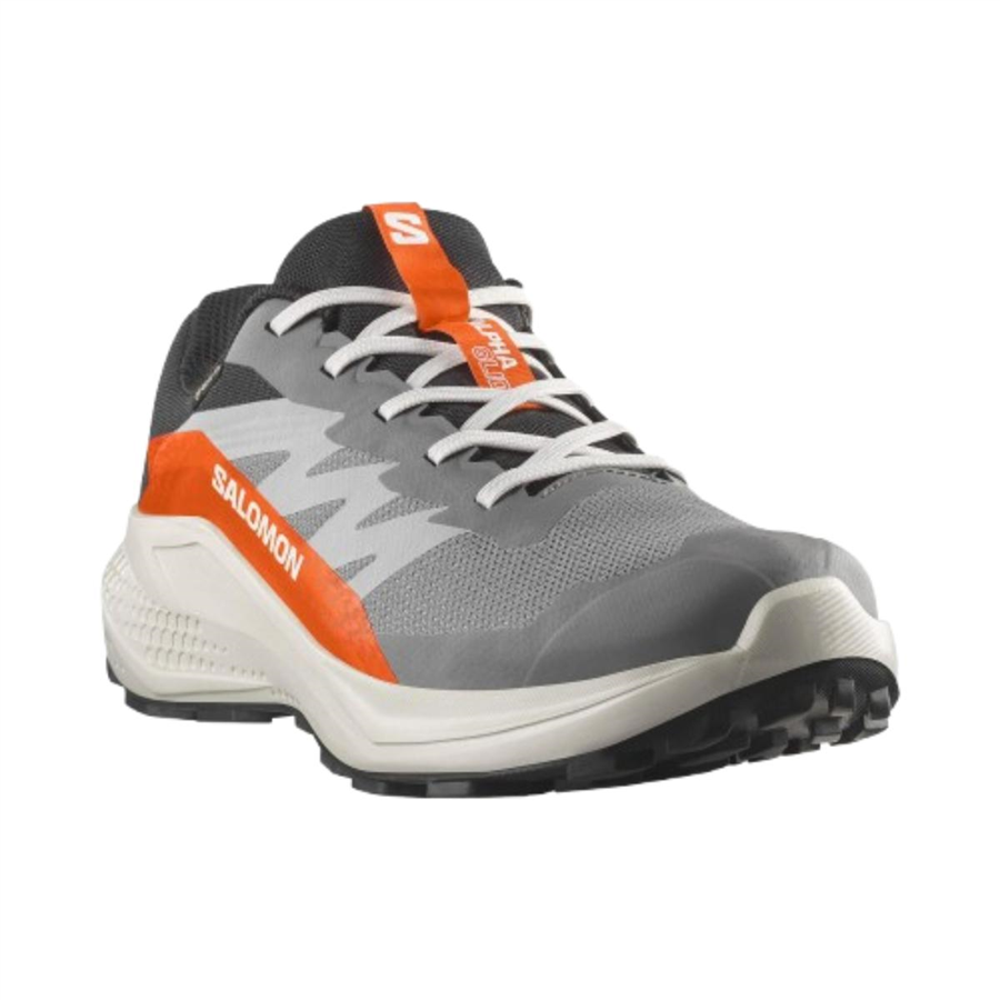Salomon Alphaglide Gtx L47975300 Gri Koşu&Yürüyüş Ayakkabısı