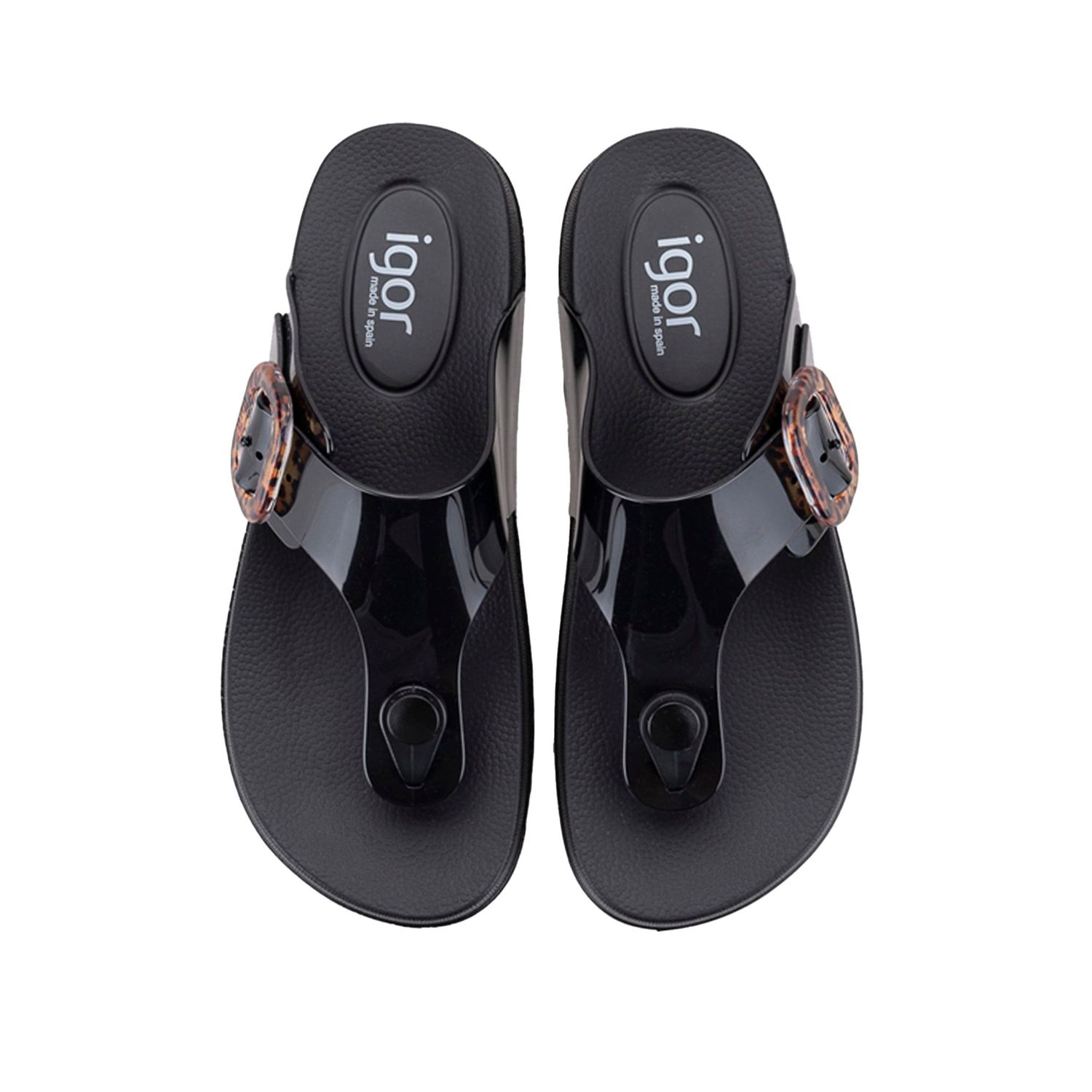 Igor S10364 BARI