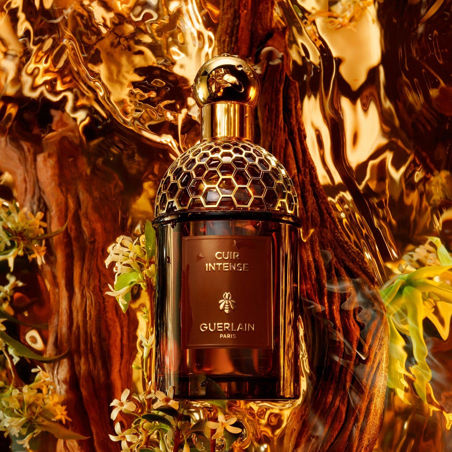 absolus-allegoria-cuir-intense-eau-de--f2-c7b.jpg