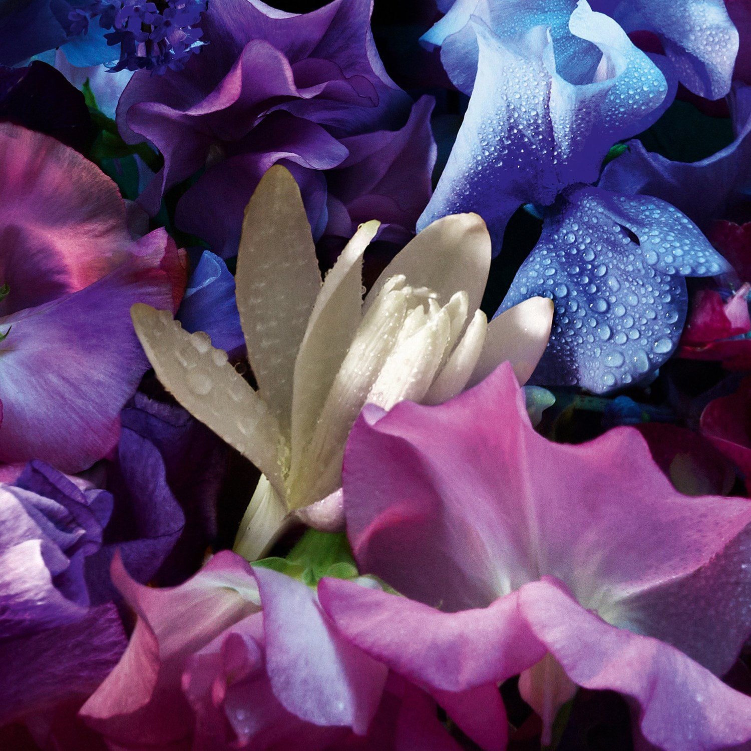 absolus-allegoria-florabloom-eau-de-pa-e75-62.jpeg
