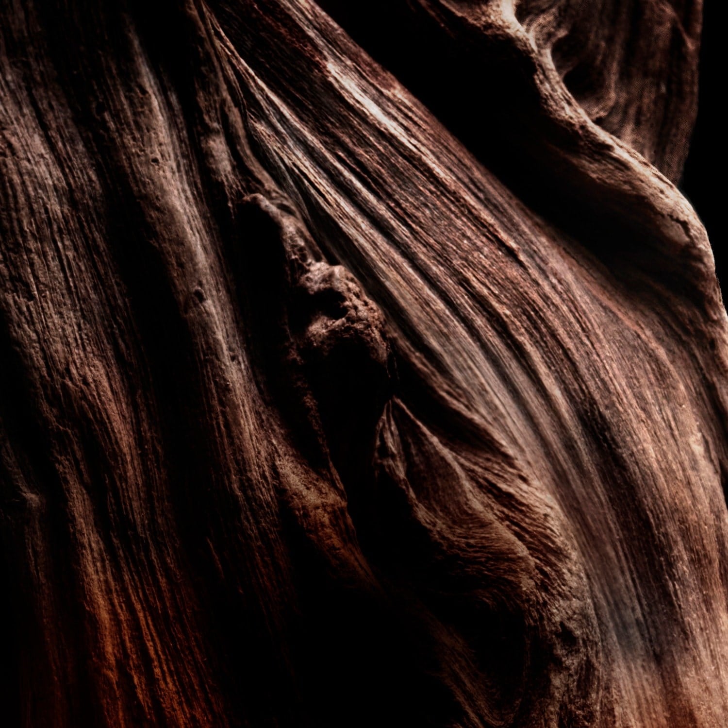 absolus-allegoria-oud-essentiel-eau-de-2-840a.jpg