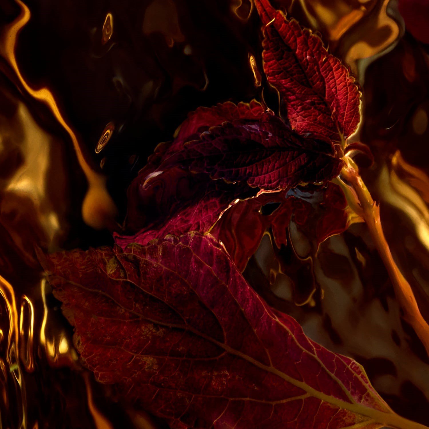absolus-allegoria-patchouli-ardent-eau-ea-4c2.jpg