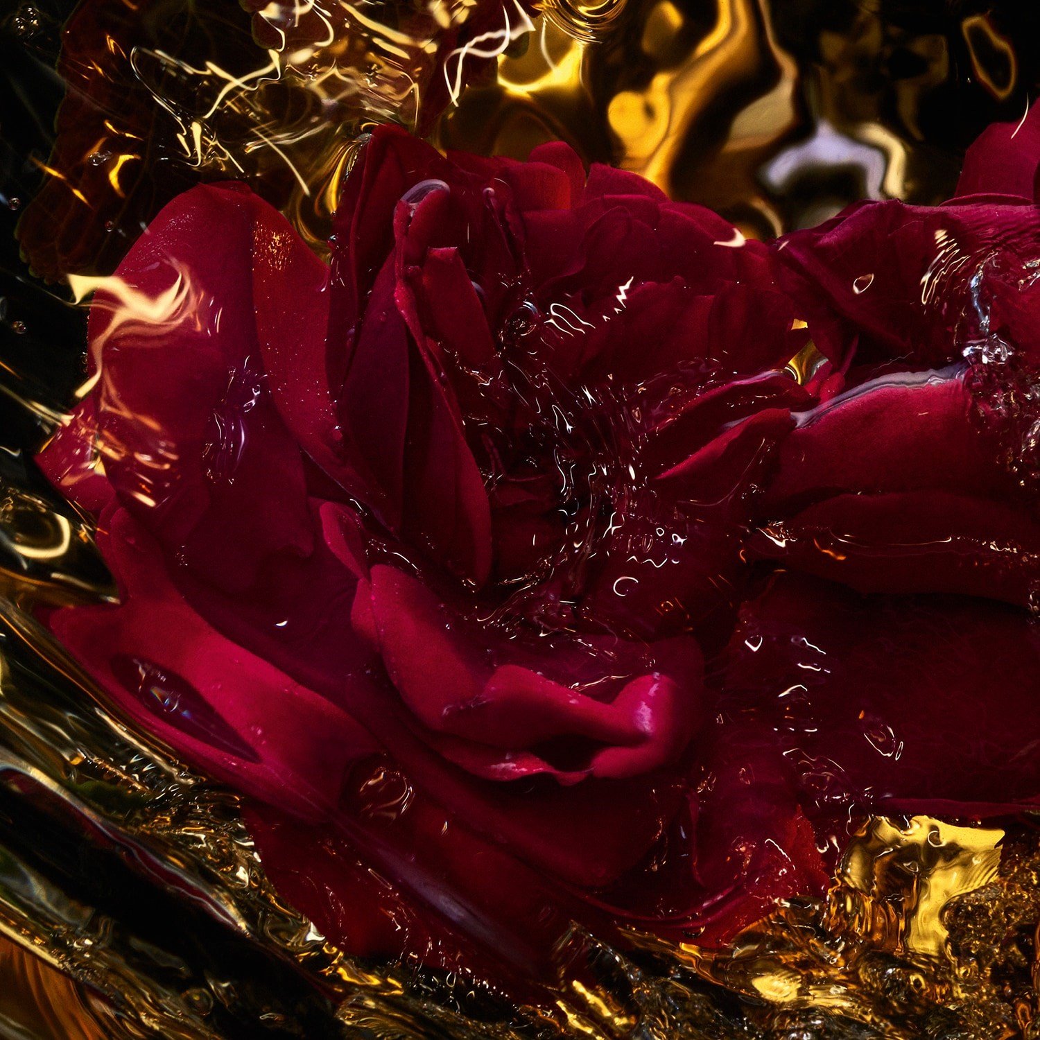 absolus-allegoria-rose-amira-eau-de-pa-8-406f.jpg