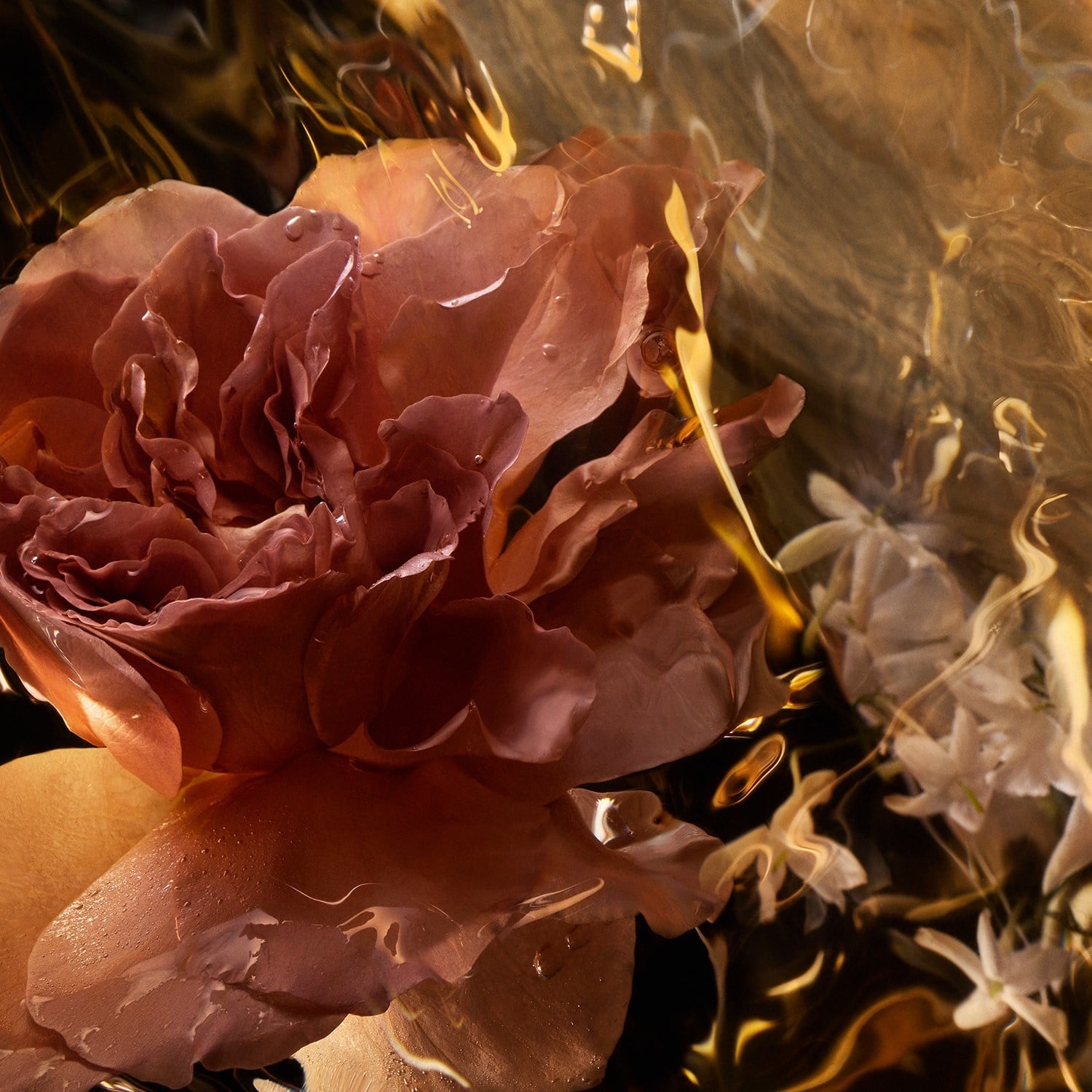 absolus-allegoria-santal-royal-eau-de--d7bf-4.jpg