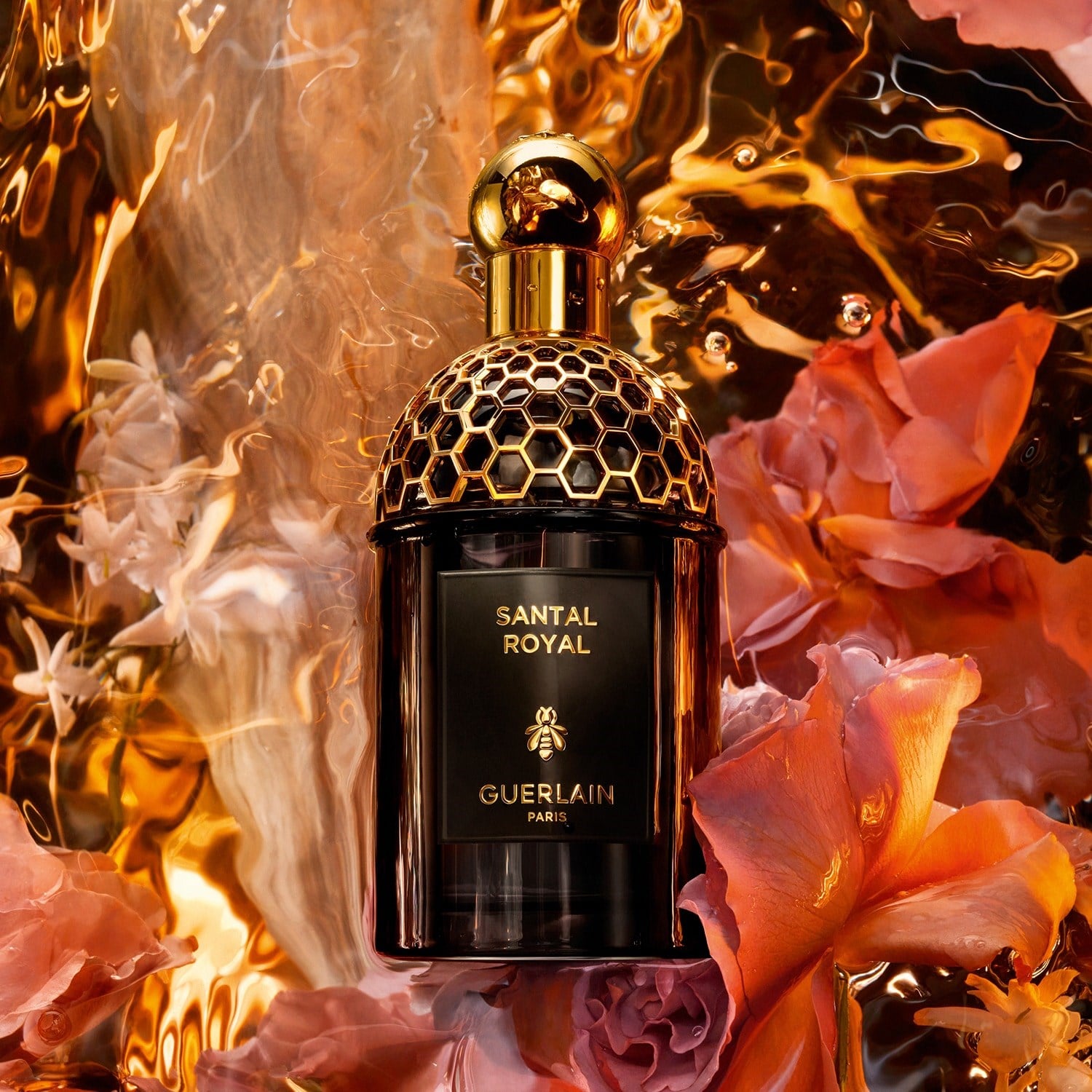 absolus-allegoria-santal-royal-eau-de--f61ebd.jpg