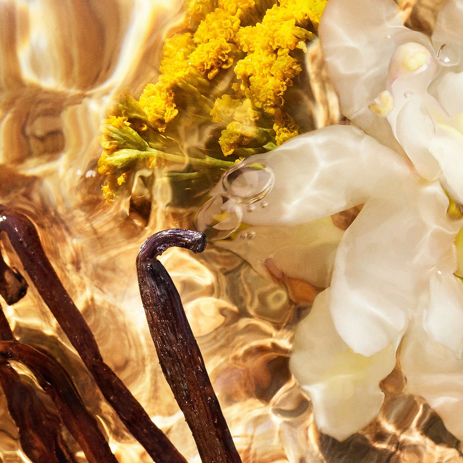aqua-allegoria-bosca-vanilla-forte-eau-e98c8b.jpg