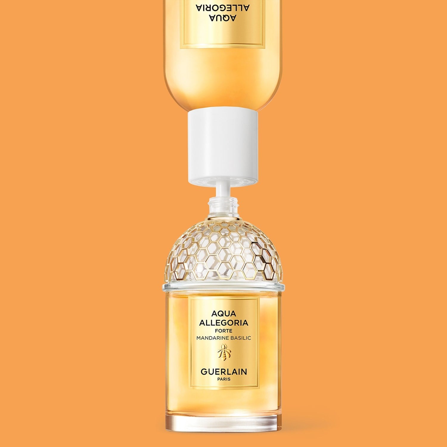 aqua-allegoria-forte-mandarine-basilic-4852-b.jpg
