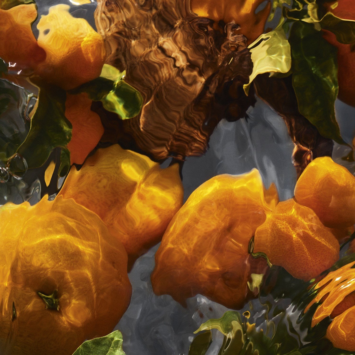 aqua-allegoria-forte-mandarine-basilic-b257e9.jpg