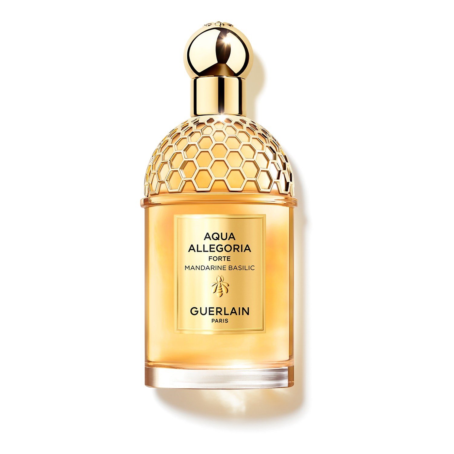 aqua-allegoria-forte-mandarine-basilic-e8f7cc.jpg