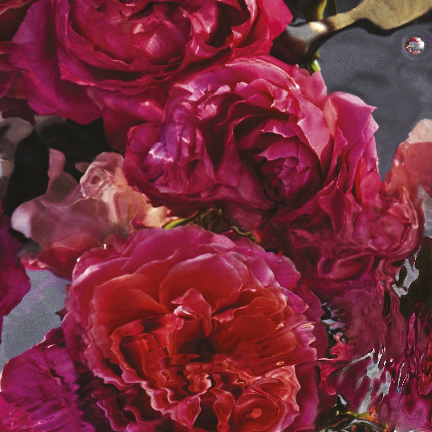 aqua-allegoria-forte-rosa-rossa-eau-de-276-b2.jpg