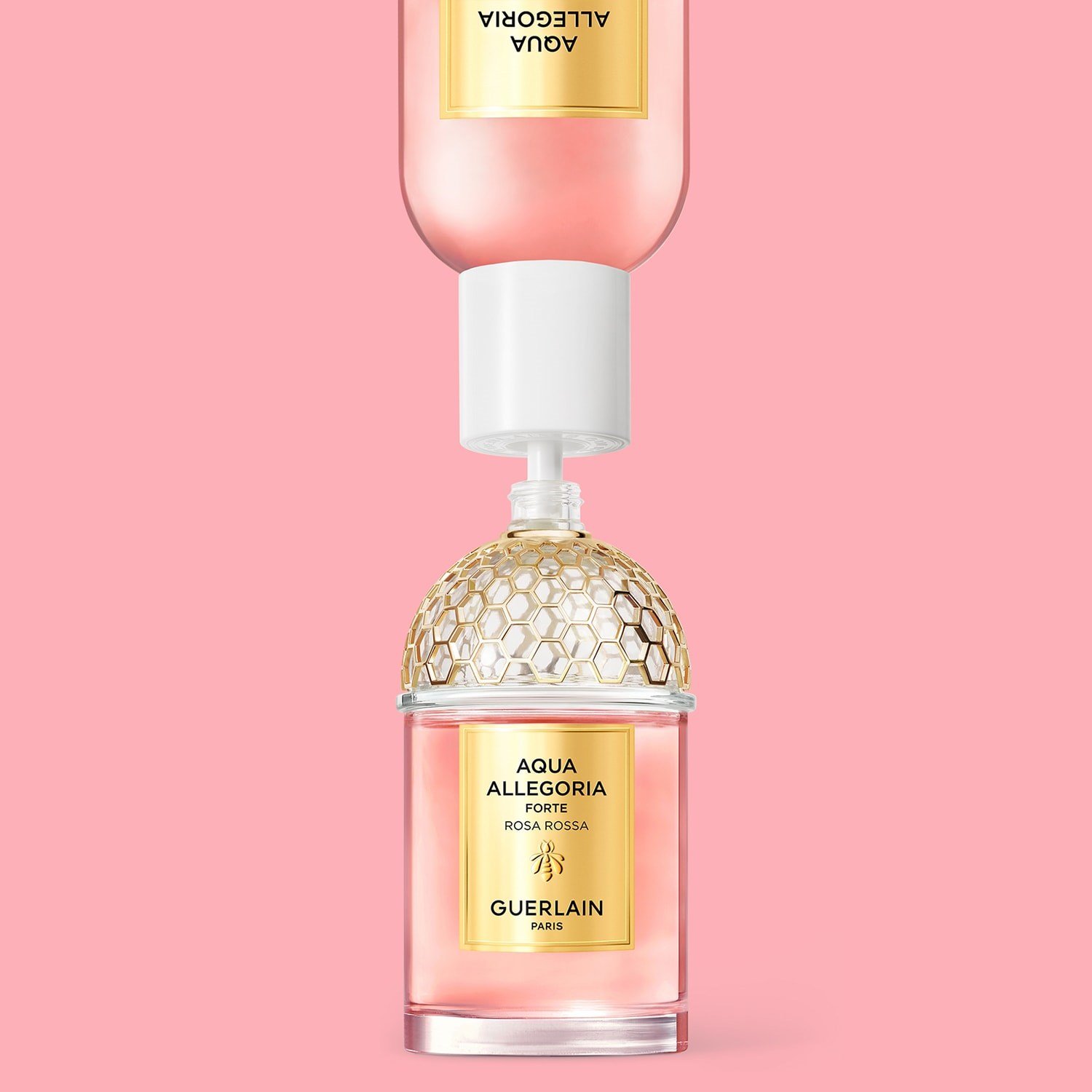 aqua-allegoria-forte-rosa-rossa-eau-de-e8ab11.jpg