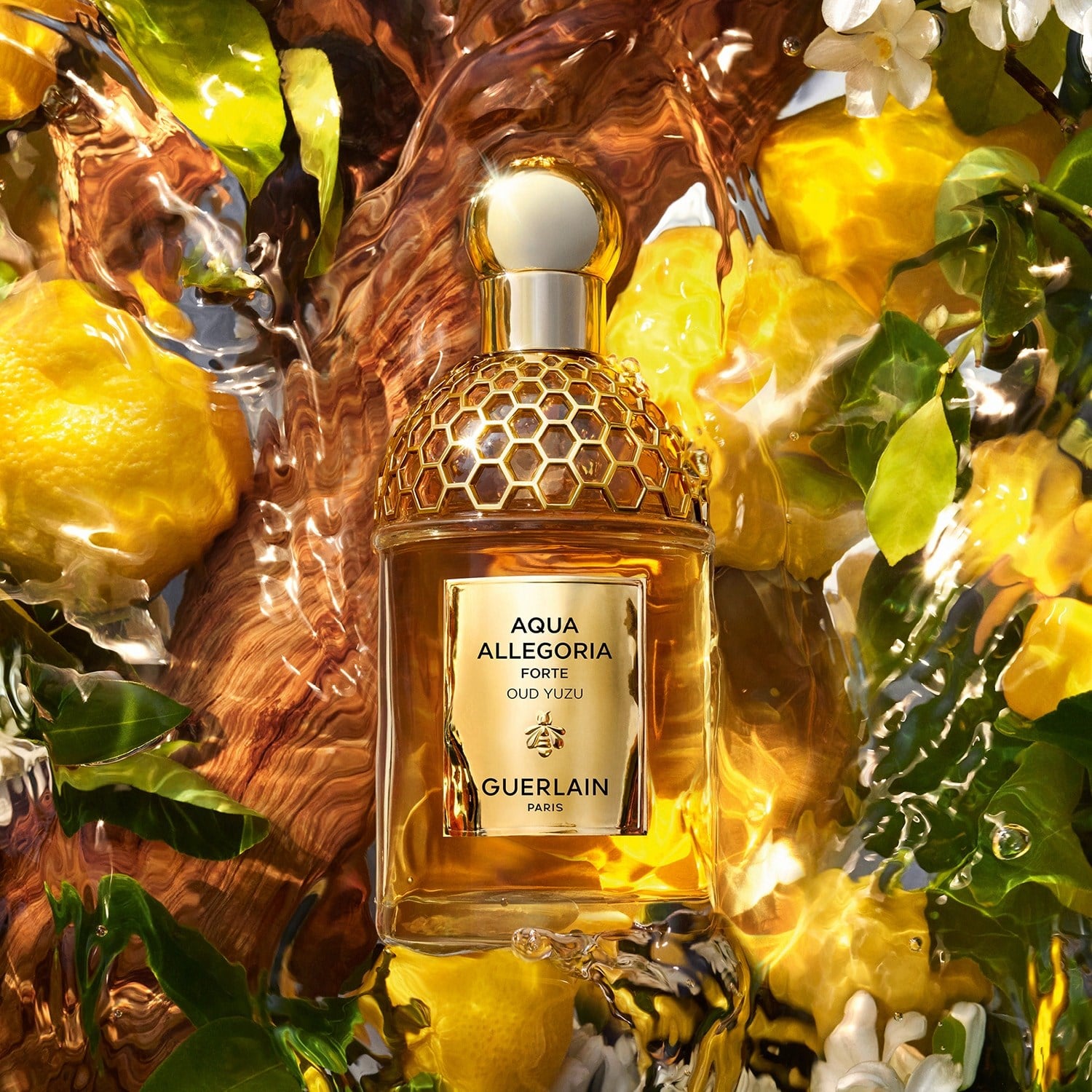 aqua-allegoria-oud-yuzu-forte-eau-de-p-32-33f.jpg