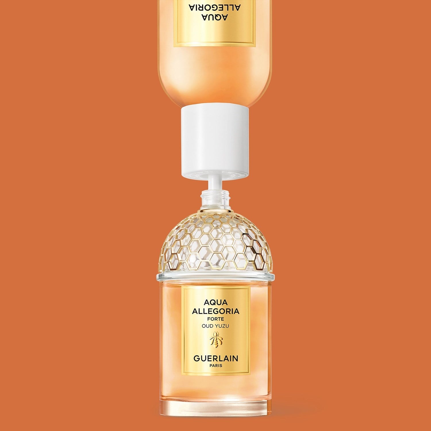 aqua-allegoria-oud-yuzu-forte-eau-de-p-657fb1.jpg