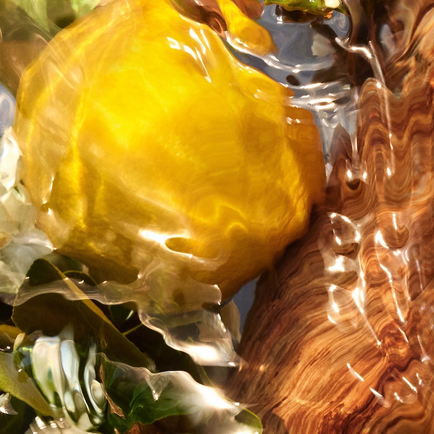 aqua-allegoria-oud-yuzu-forte-eau-de-p-9c86-c.jpg