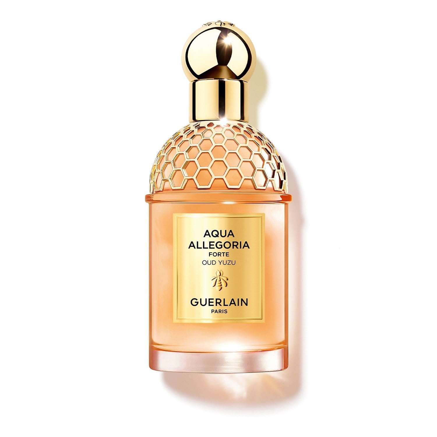 aqua-allegoria-oud-yuzu-forte-eau-de-p-de5-dd.jpg
