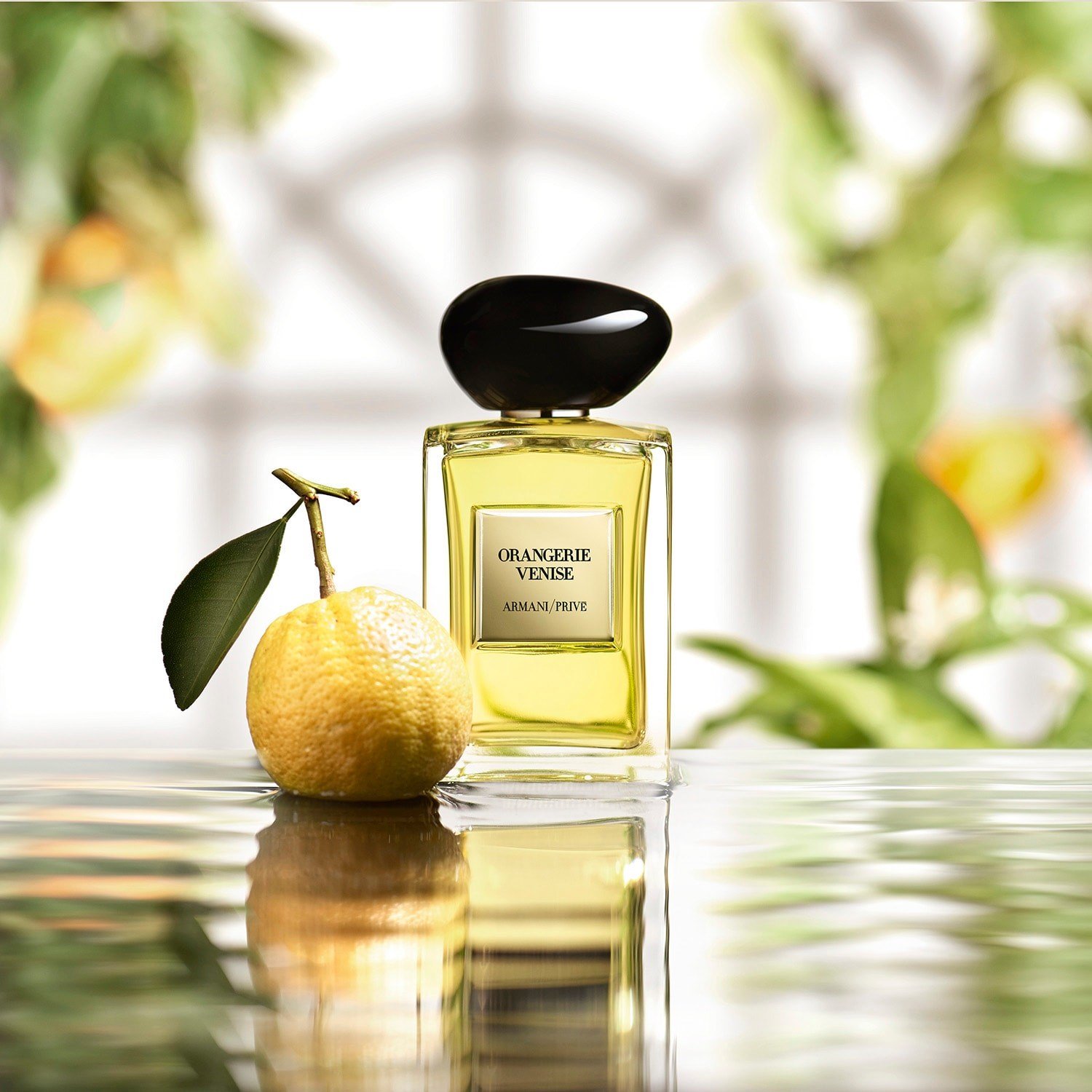 armani-prive-orangerie-venise-eau-de-t-fe5e96.jpg