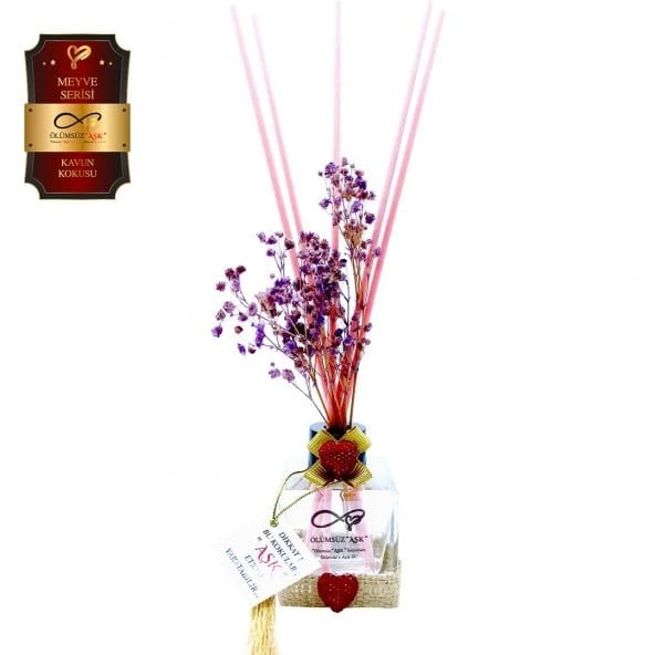 Aşk-ı Sermest Toptan Ölümsüz Aşk Meyve Serisi Kavun Kokulu 10 x 60 ml küp Şişe Bambu Çubuklu Ortam Kokusu Reed Diffuser Oda Kokusu