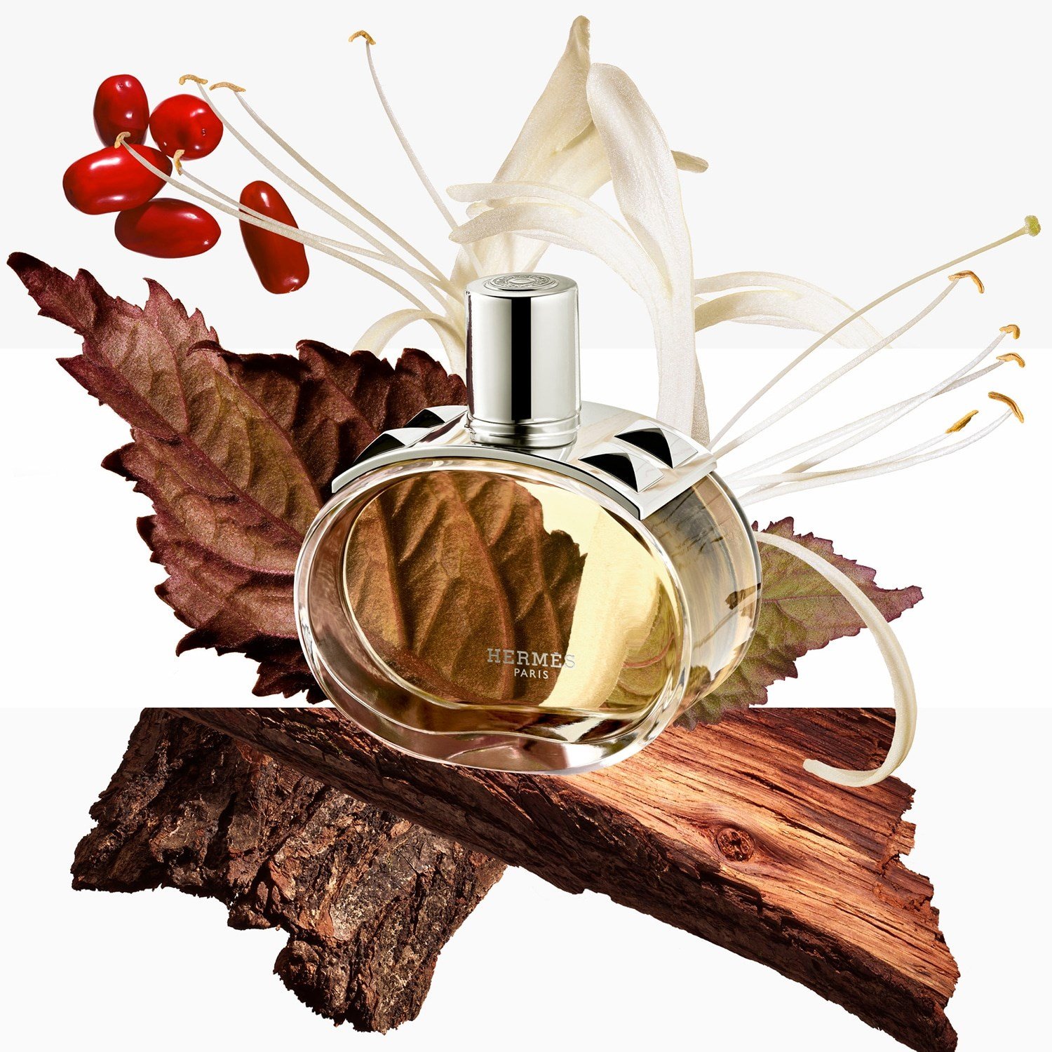 barnia-eau-de-parfum-9-99ec.jpg