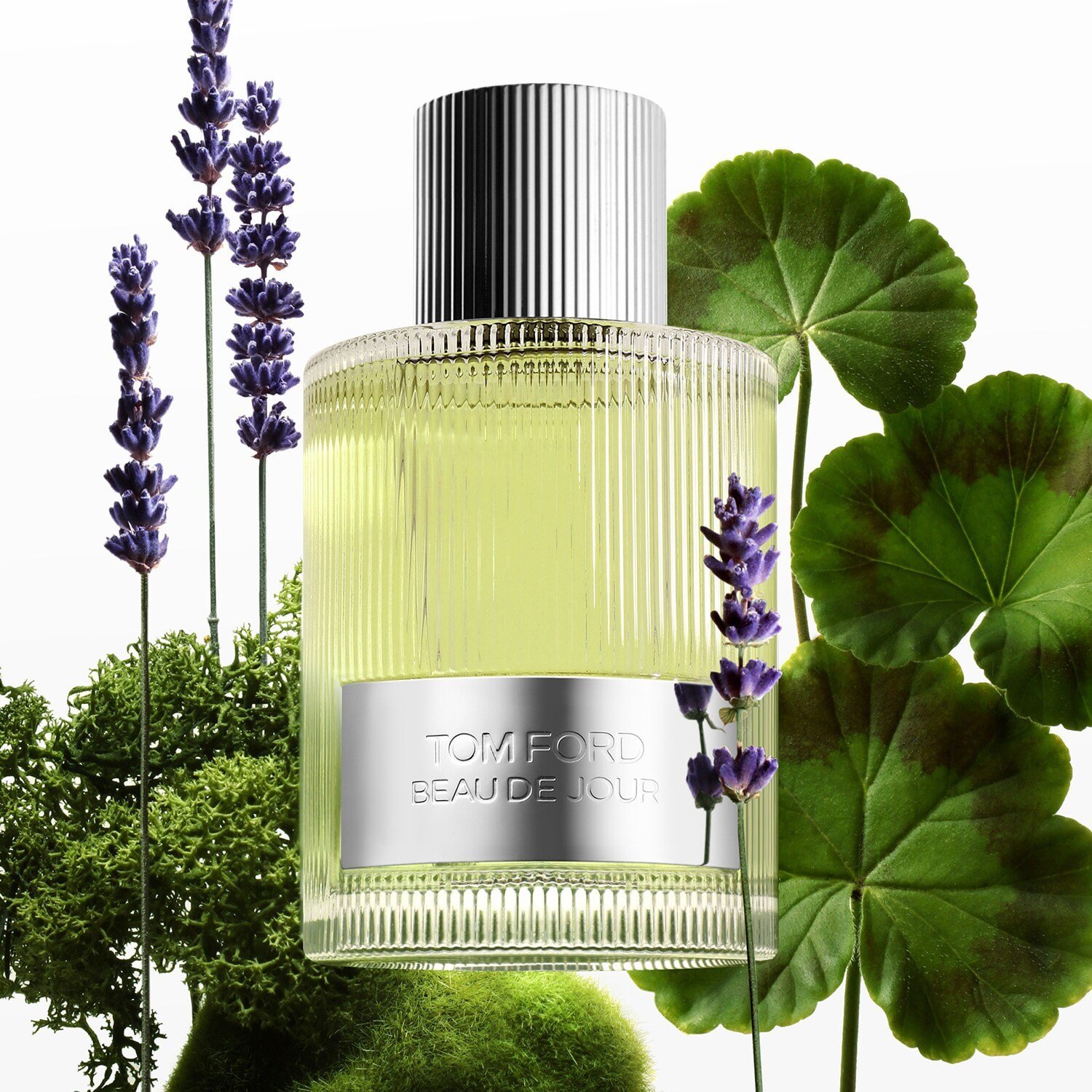 beau-de-jour-eau-de-parfum-47600f.jpg