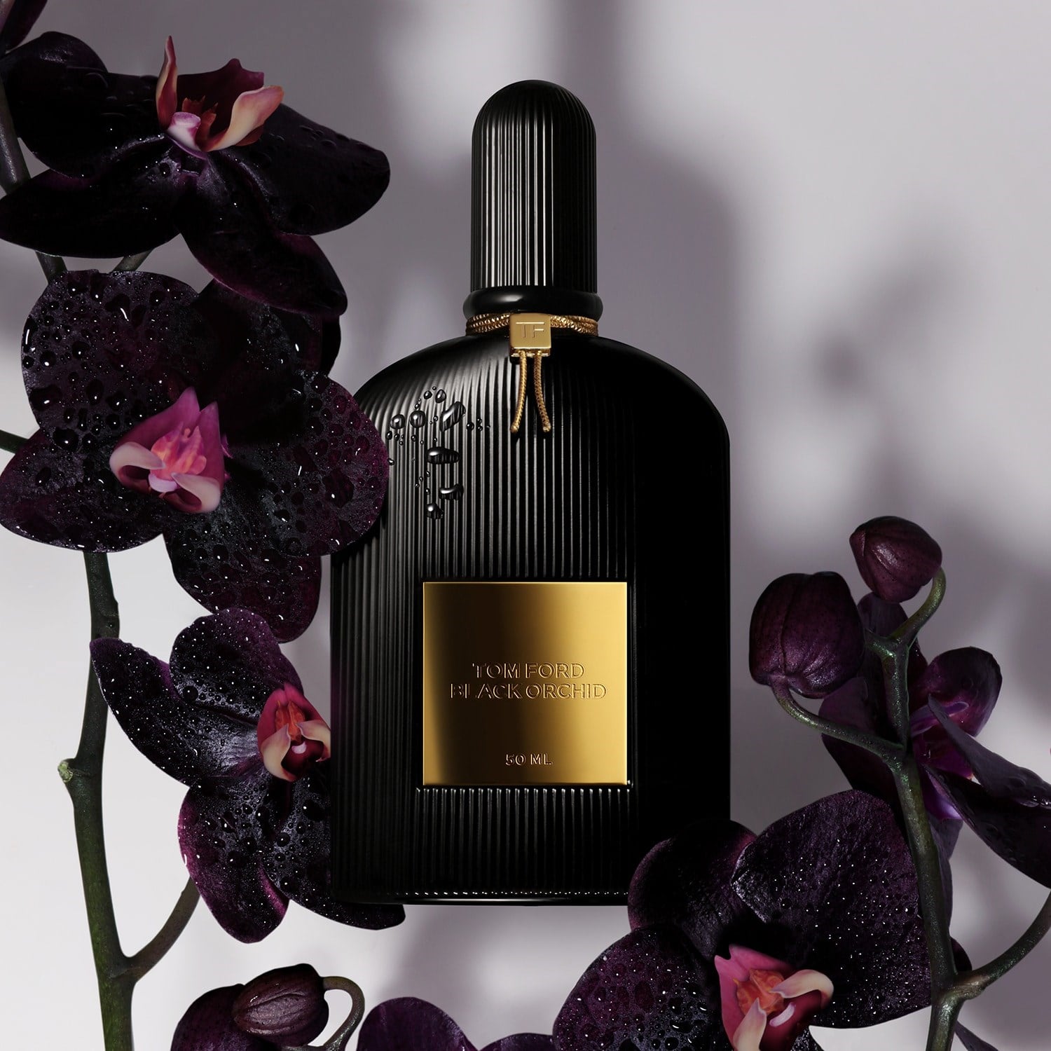 black-orchid-eau-de-parfum-584-ac.jpg