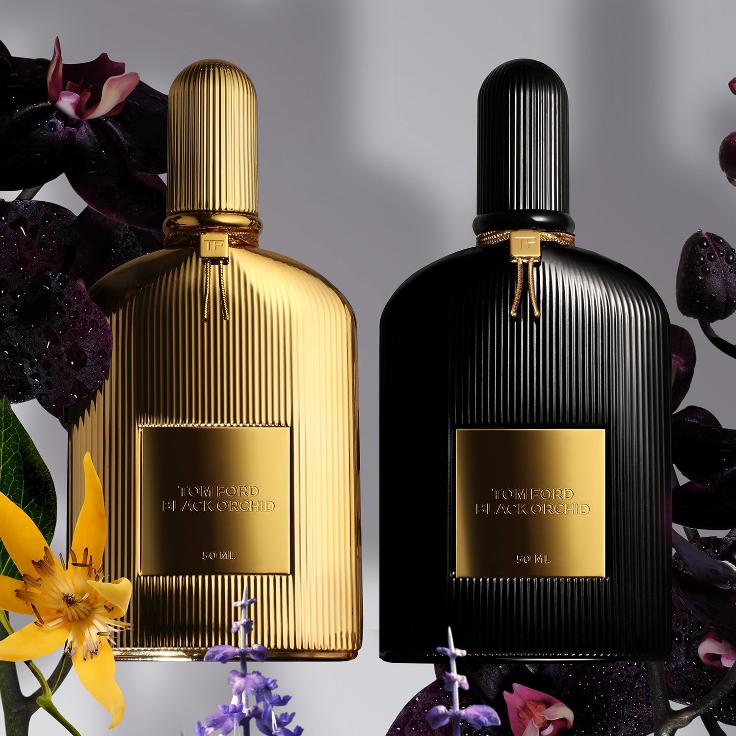 black-orchid-eau-de-parfum-85d883.jpg