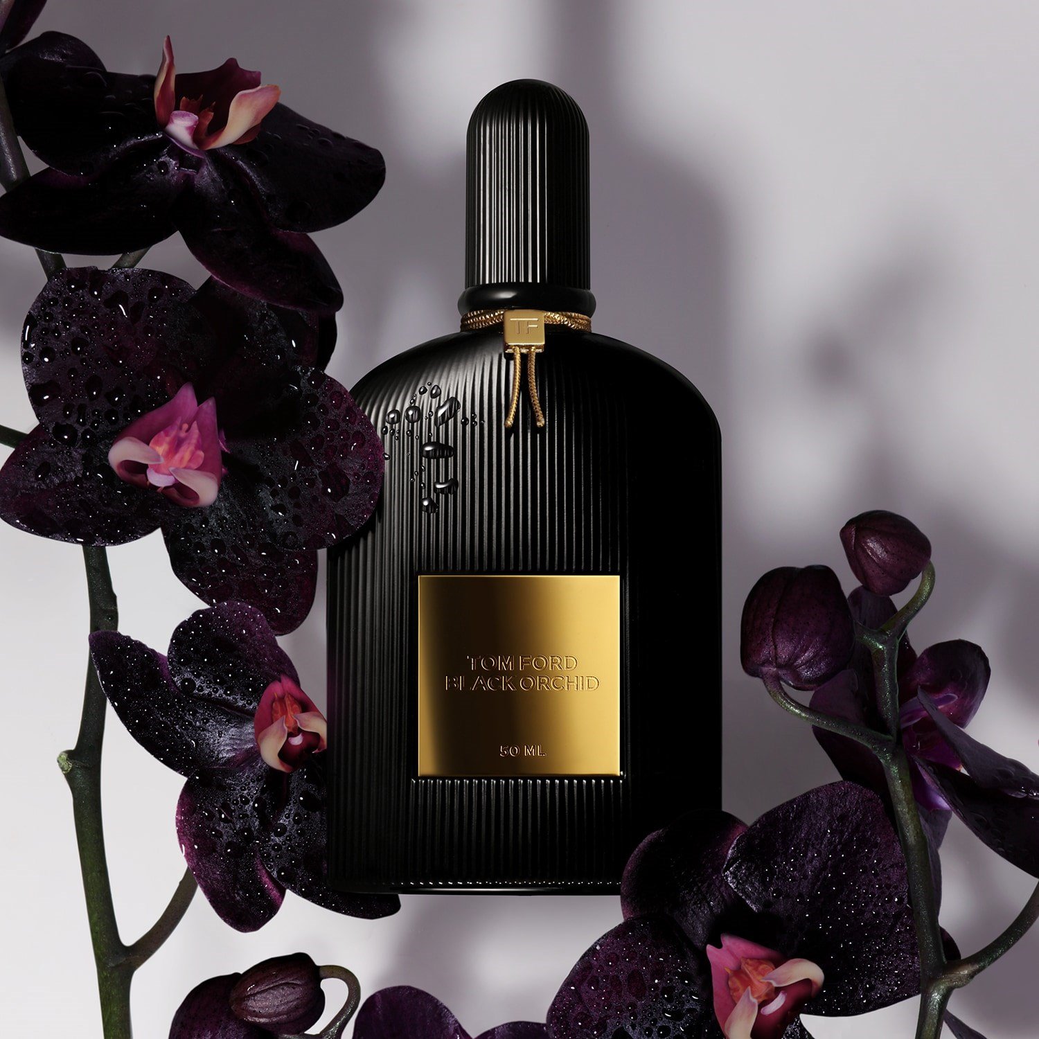 black-orchid-eau-de-parfum-aa2c1c.jpg