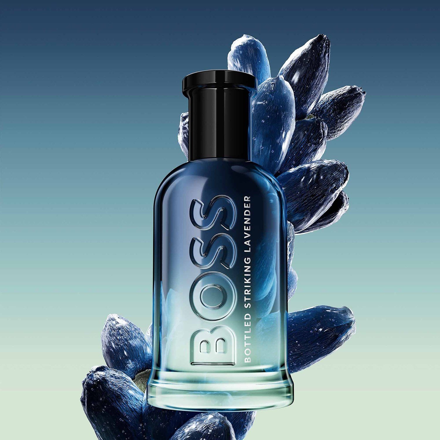 boss-bottled-lavender-eau-de-parfum-f00f4b.jpg