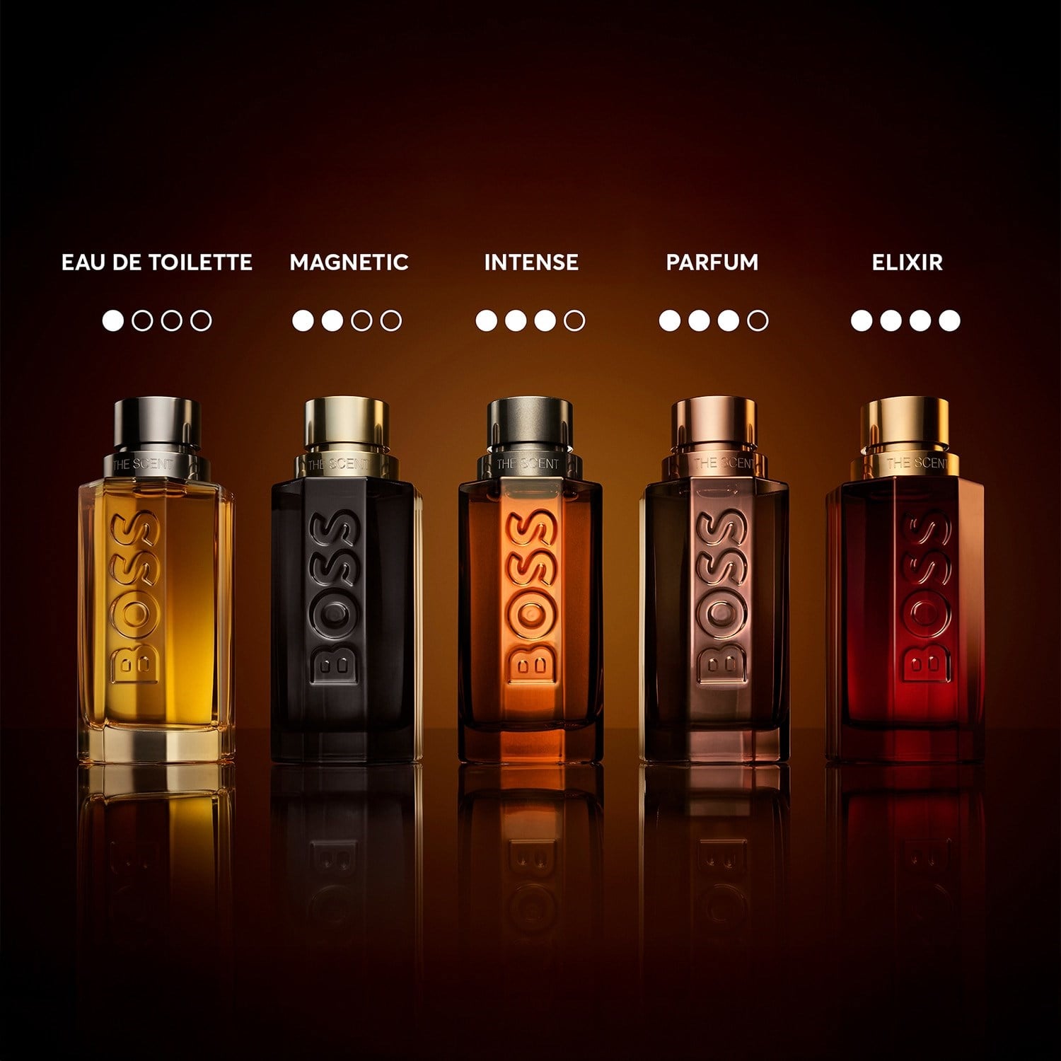 boss-the-scent-for-him-parfum-intense-7febfd.jpg