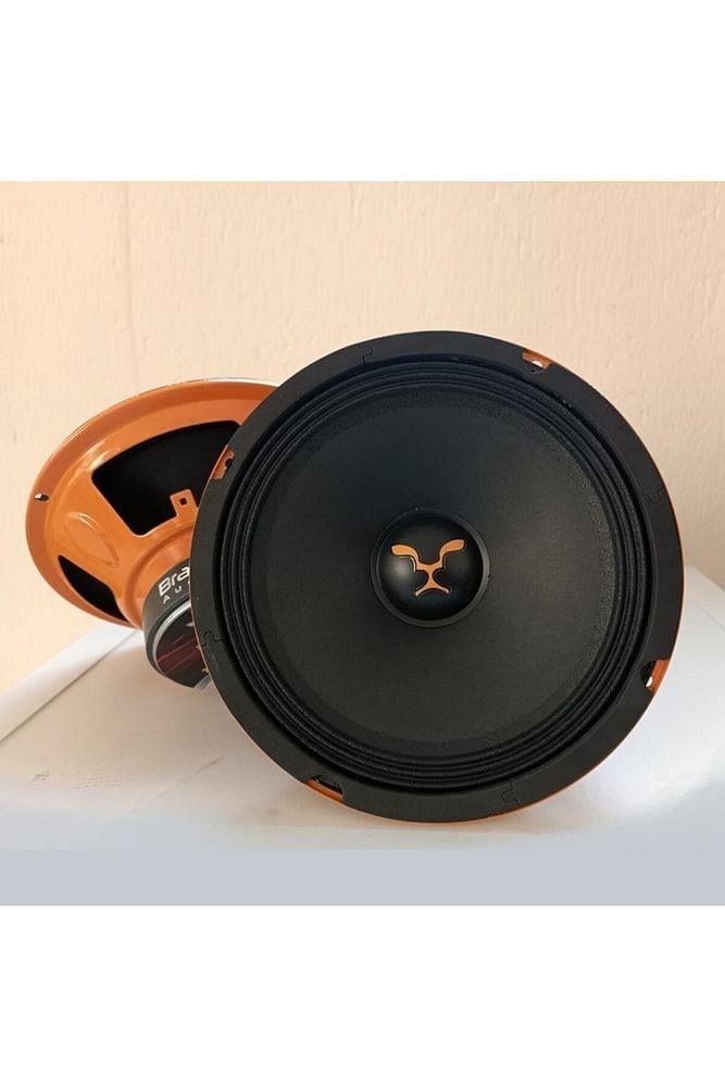 brave-20cm-amfi-tipi-200w-100rms-midra--8c4c-.jpeg