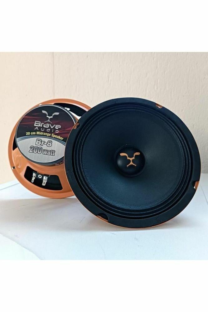 brave-20cm-amfi-tipi-200w-100rms-midra-8bfc3e.jpeg