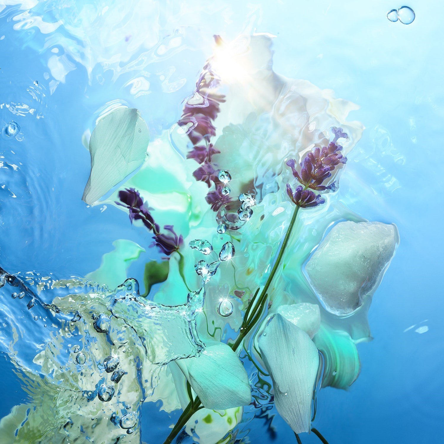 calm-bliss-eau-de-parfum-041-23.jpg