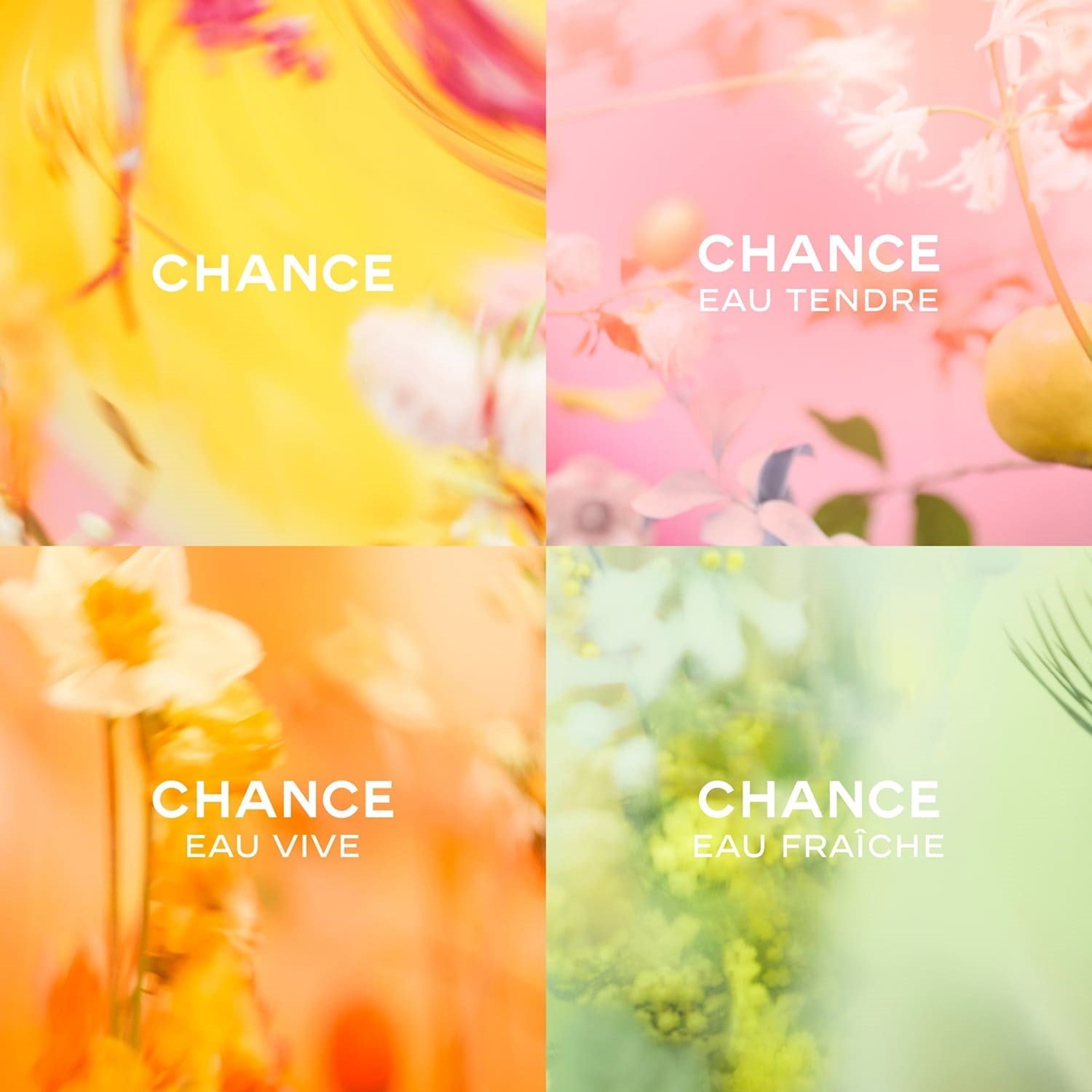 chance-eau-vive-eau-de-toilette-4b-cbe.jpg