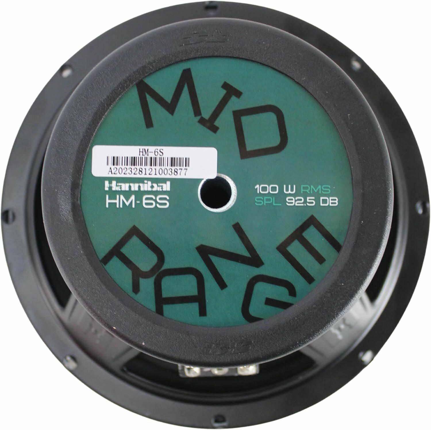 deaf-bonce-hannibal-hm-6s-100w-rms-16--aa4064.jpeg