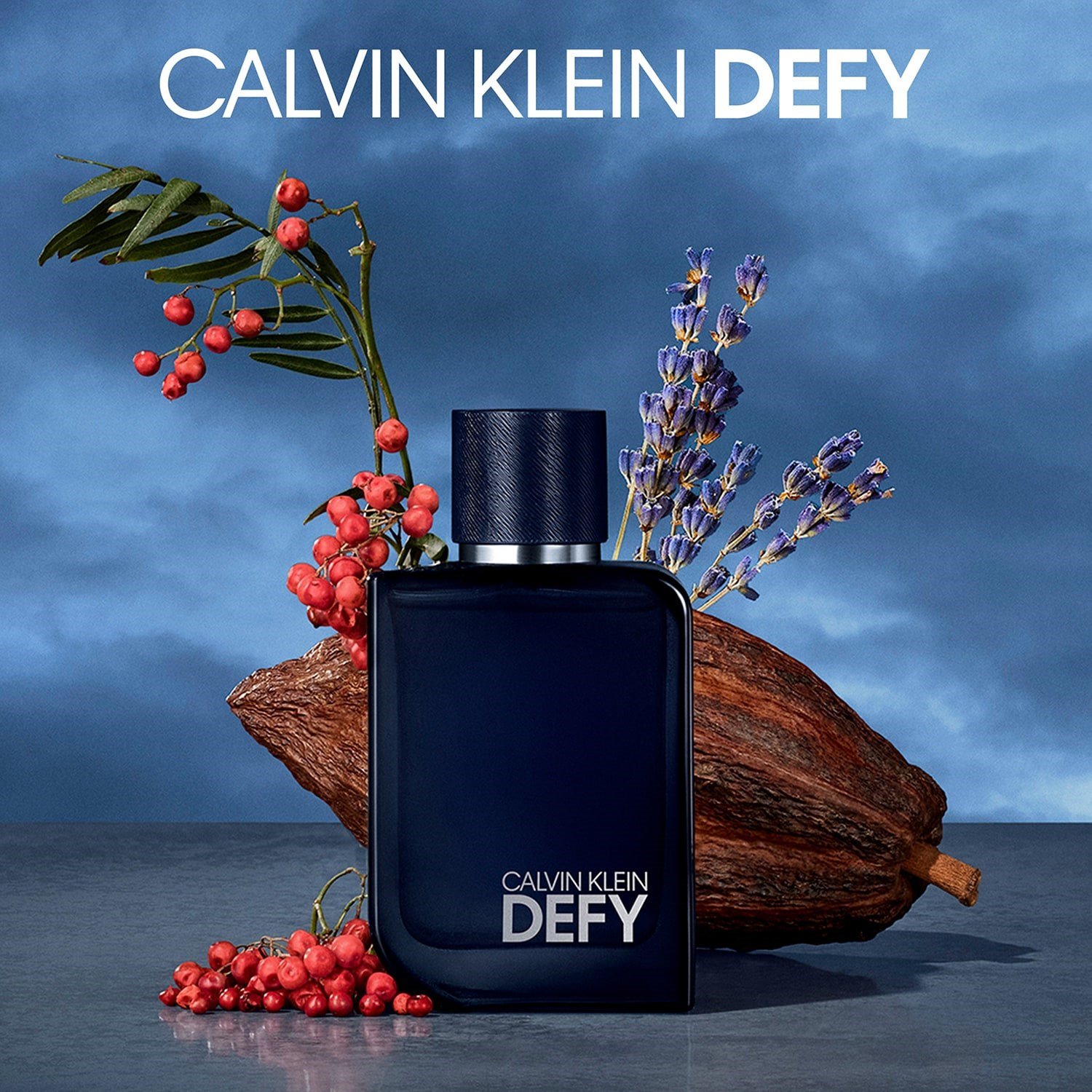 defy-parfum-108f09.jpeg