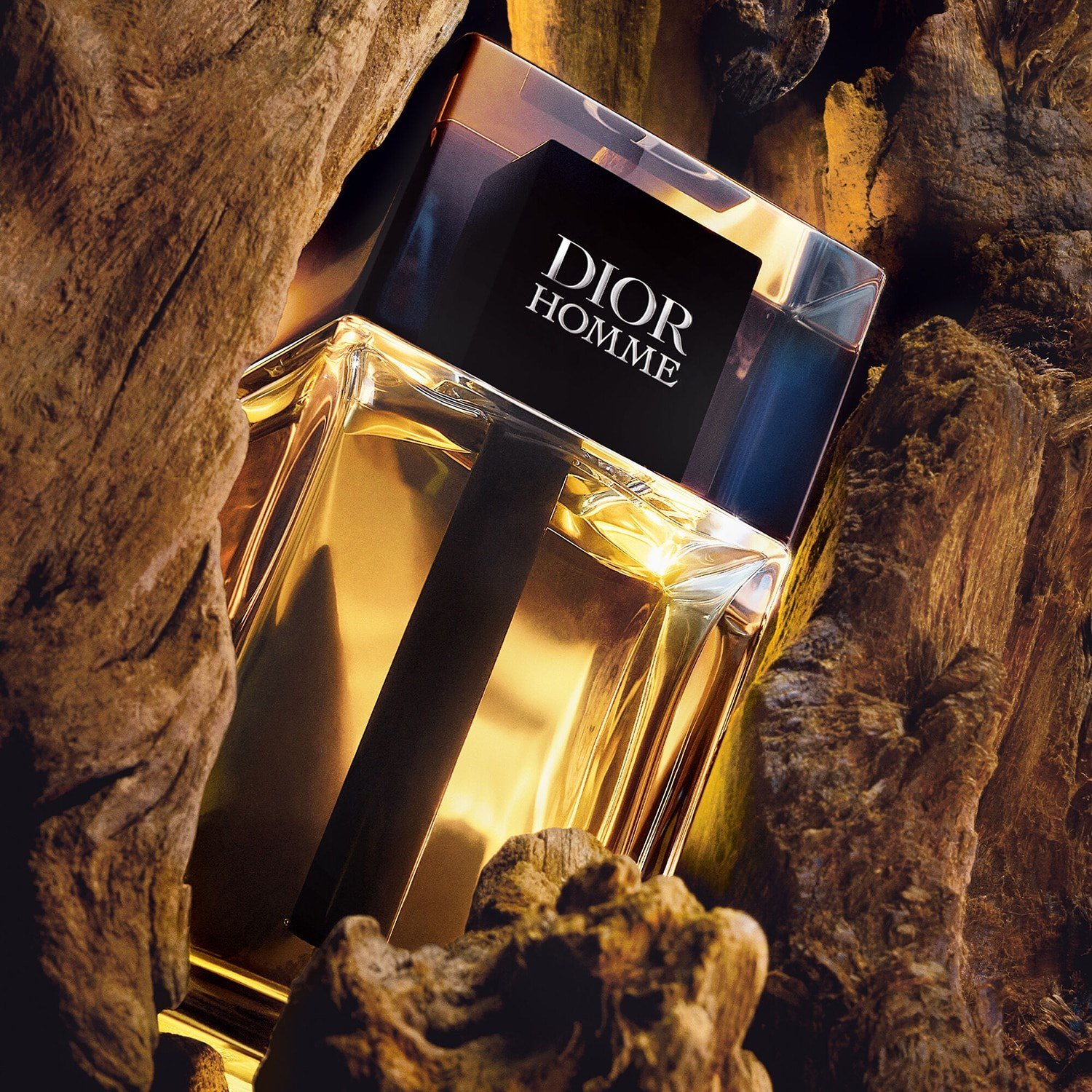dior-homme-eau-de-toilette-b2-c9c.jpg