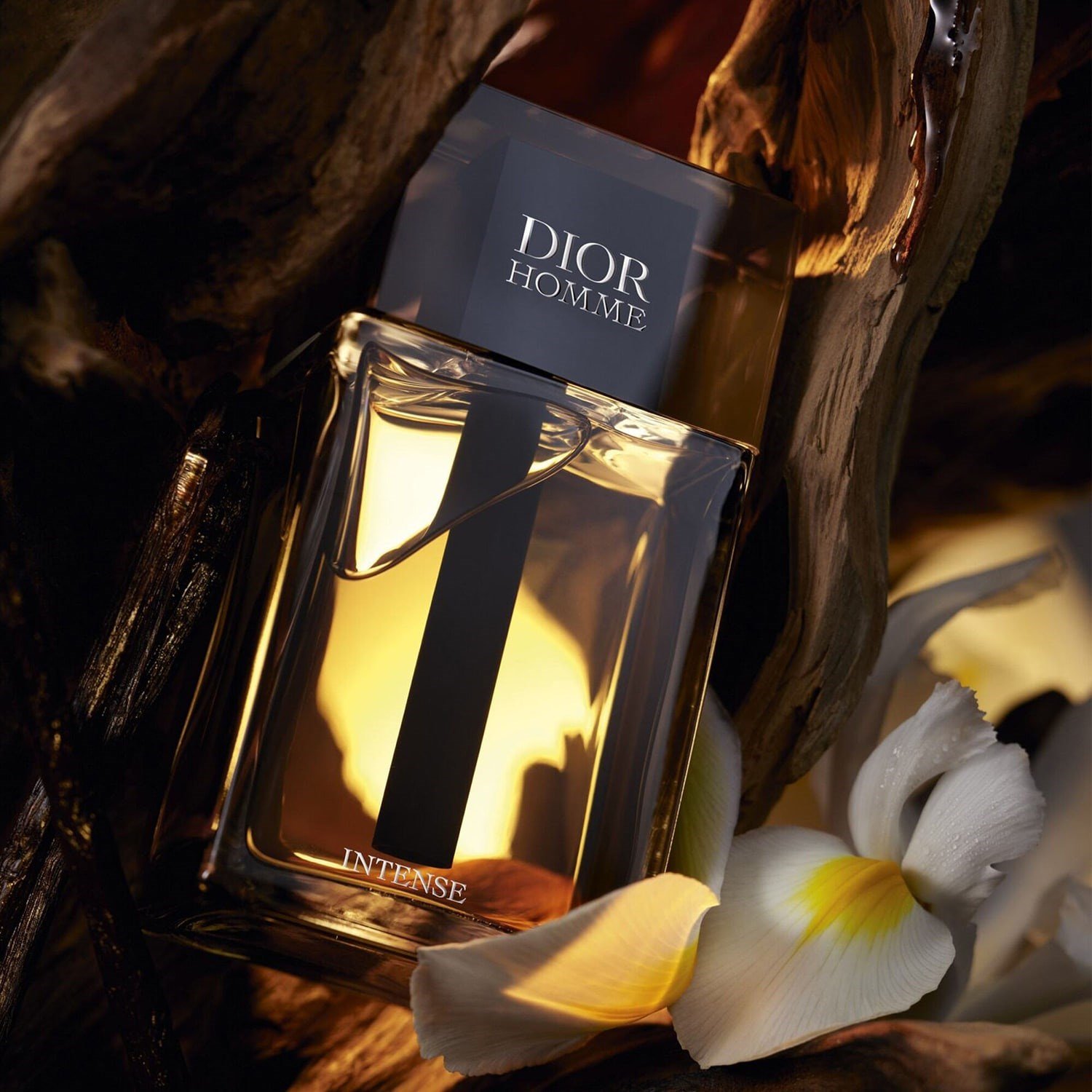 dior-homme-intense-eau-de-parfum-4a3482.jpg