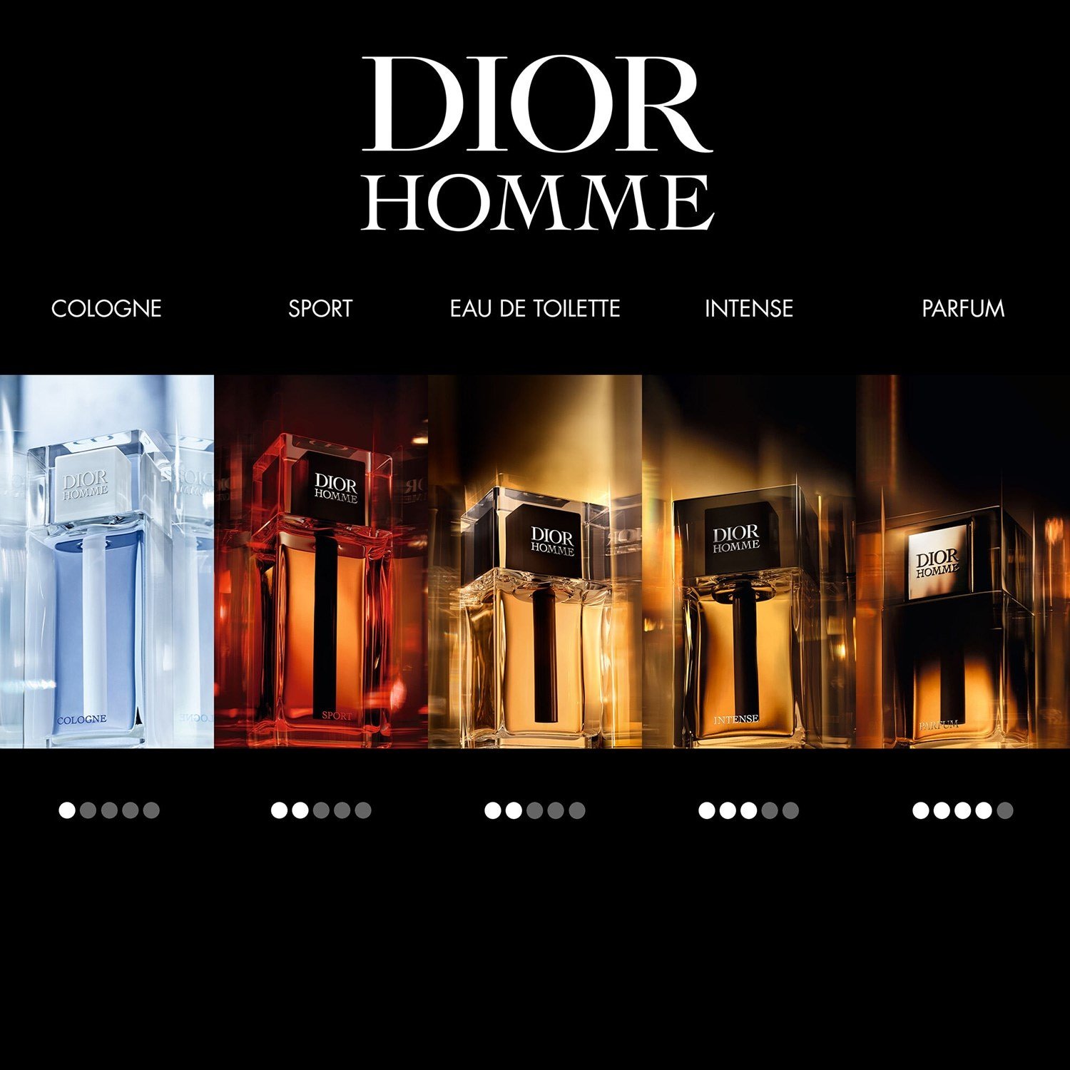 dior-homme-intense-eau-de-parfum-9f58-4.jpg