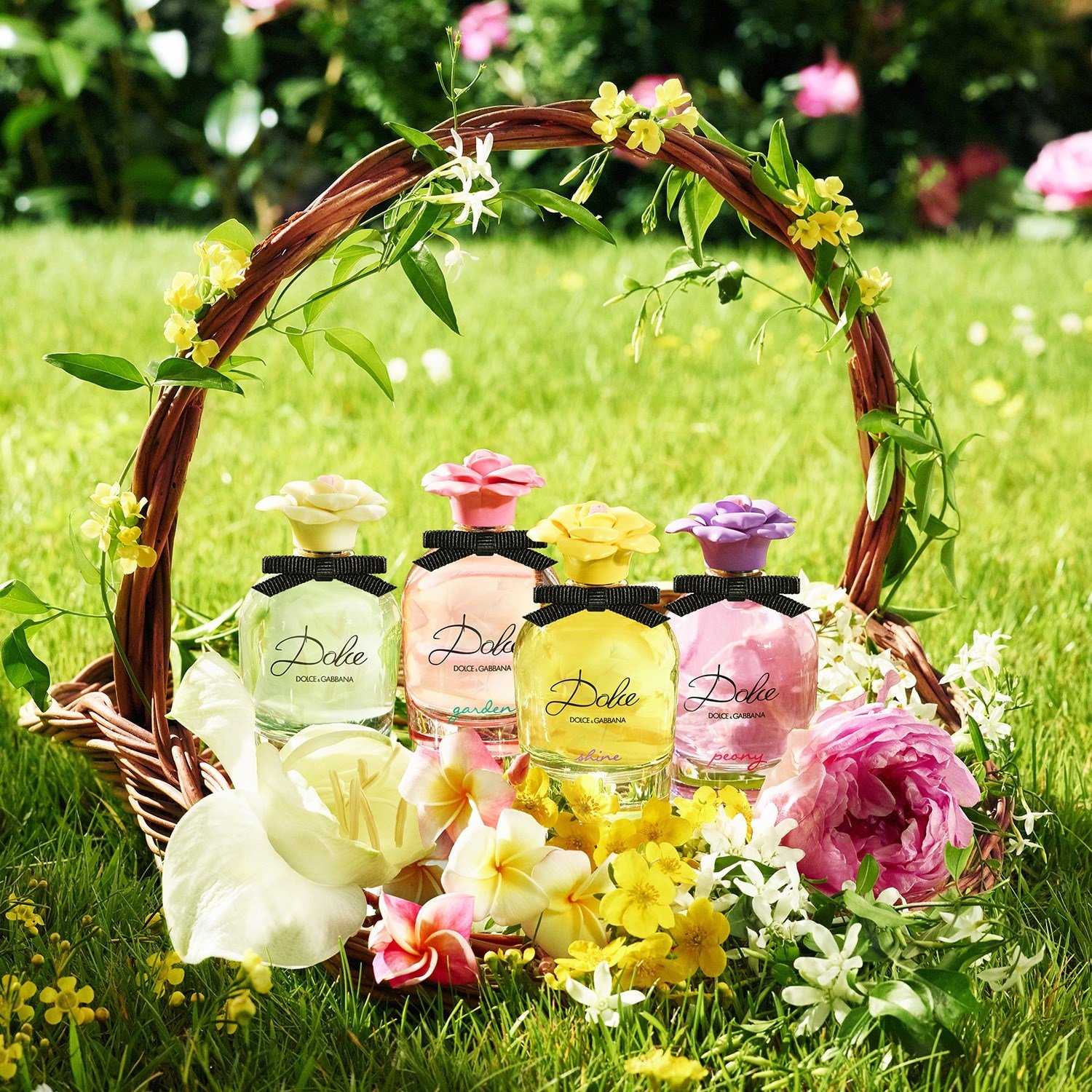 dolce-eau-de-parfum-ee-4ff.jpg