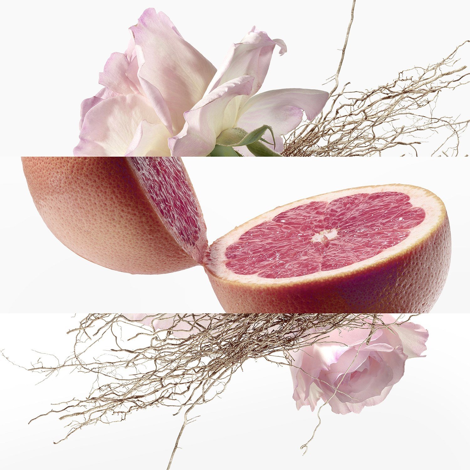 eau-de-pamplemousse-rose-eau-de-cologn-92-bcd.jpg