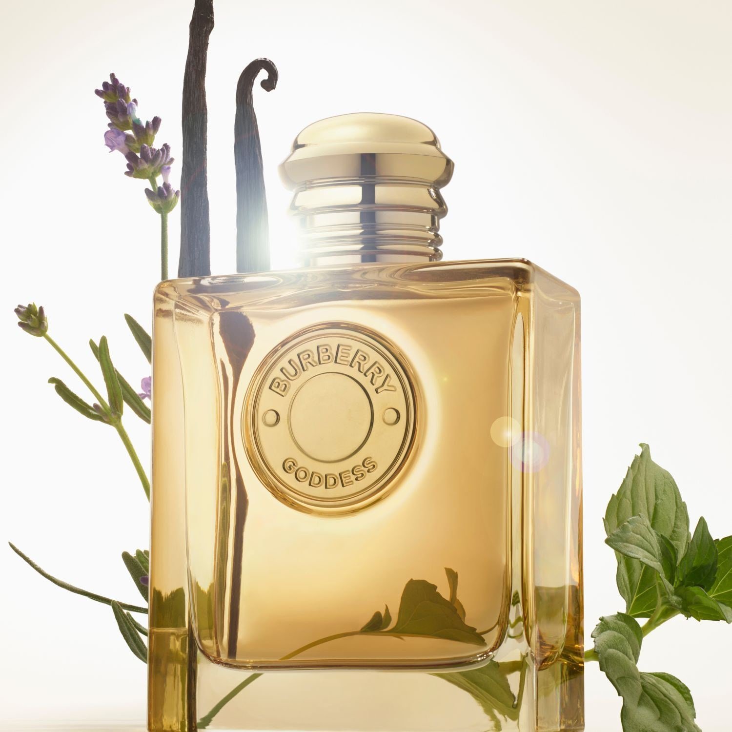 goddess-eau-de-parfum-intense-5fc253.jpg