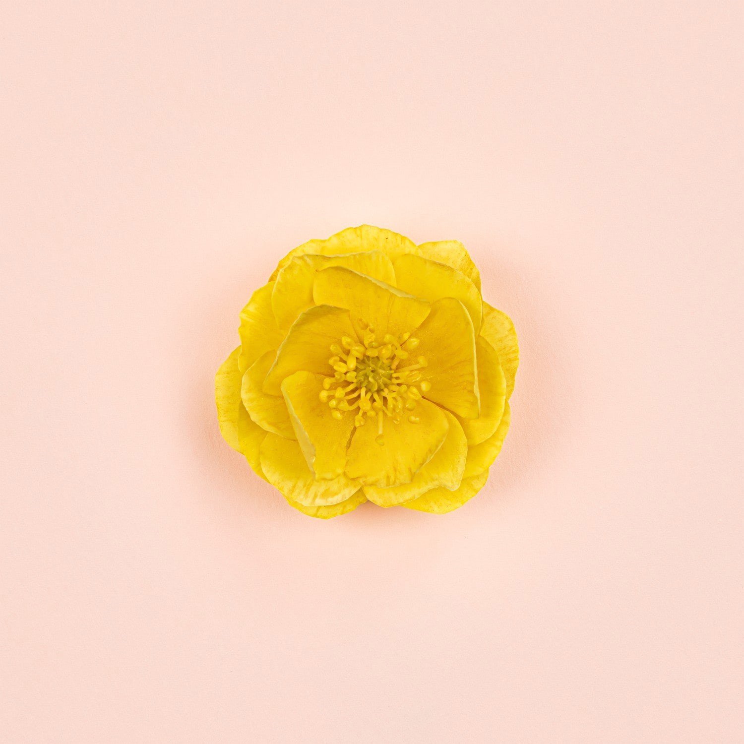 gucci-bloom-ambrosia-doro-451d-8.jpeg