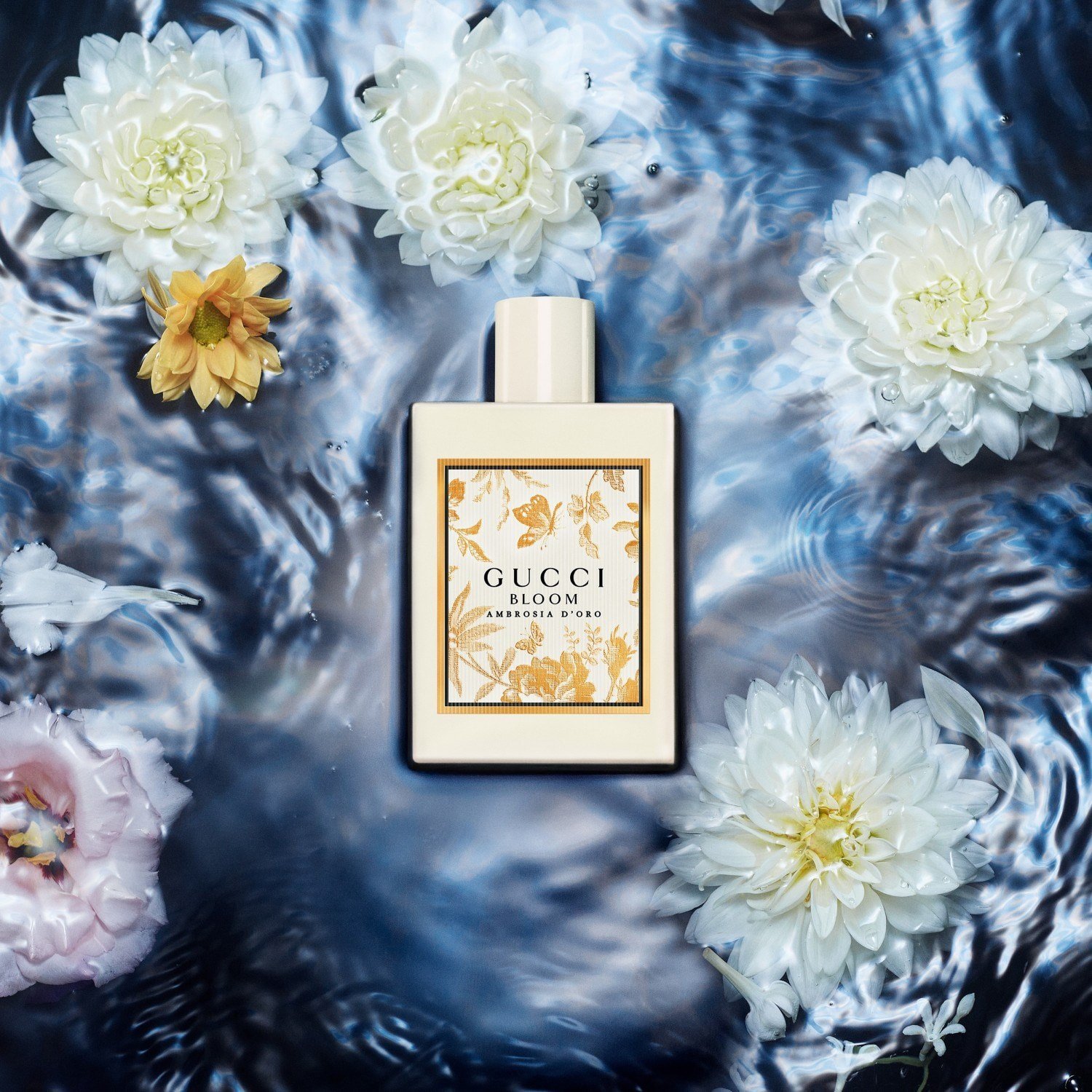 gucci-bloom-ambrosia-doro-7602a9.jpeg