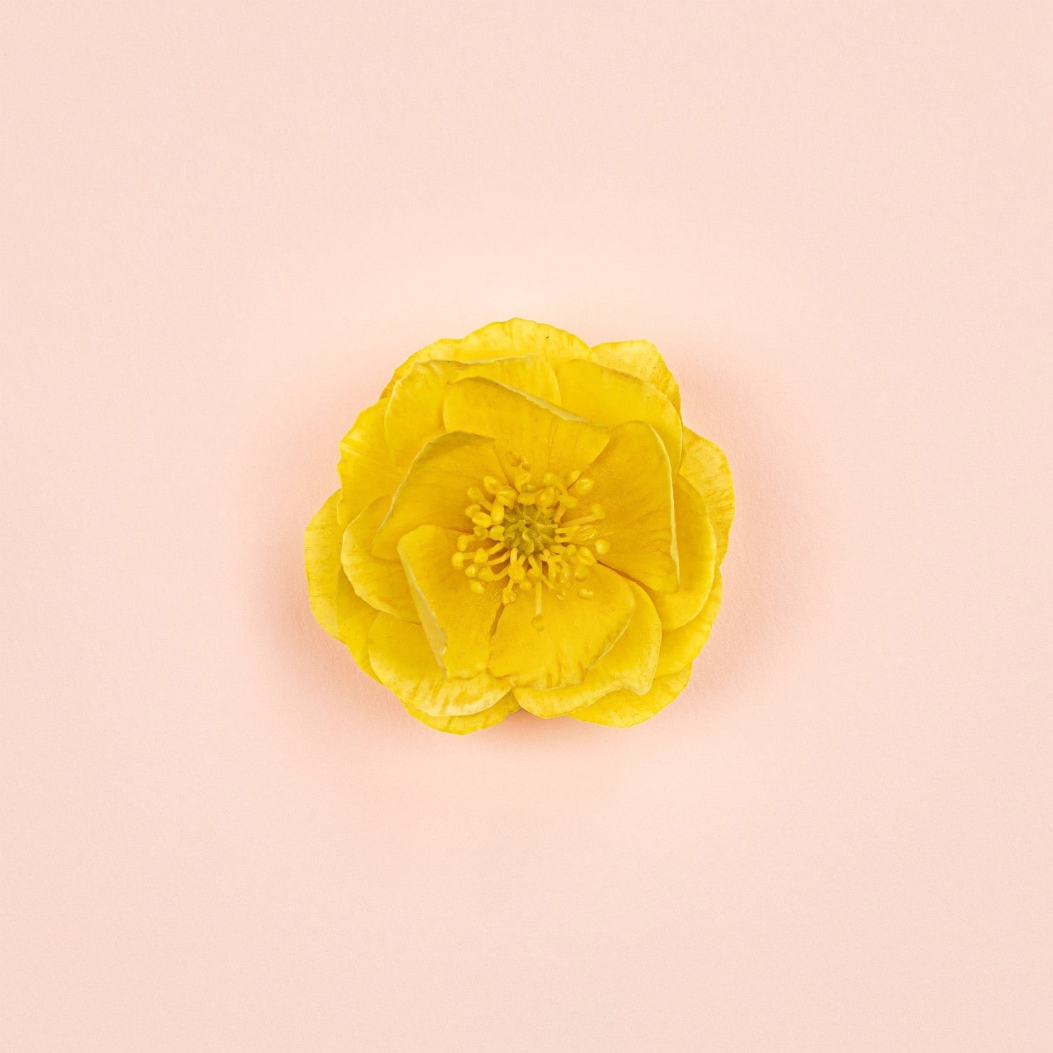 gucci-bloom-ambrosia-doro-96-c3b.jpeg