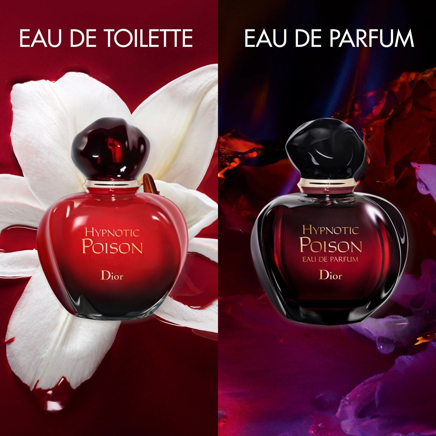 hypnotic-poison-eau-de-parfum-04-473.jpg