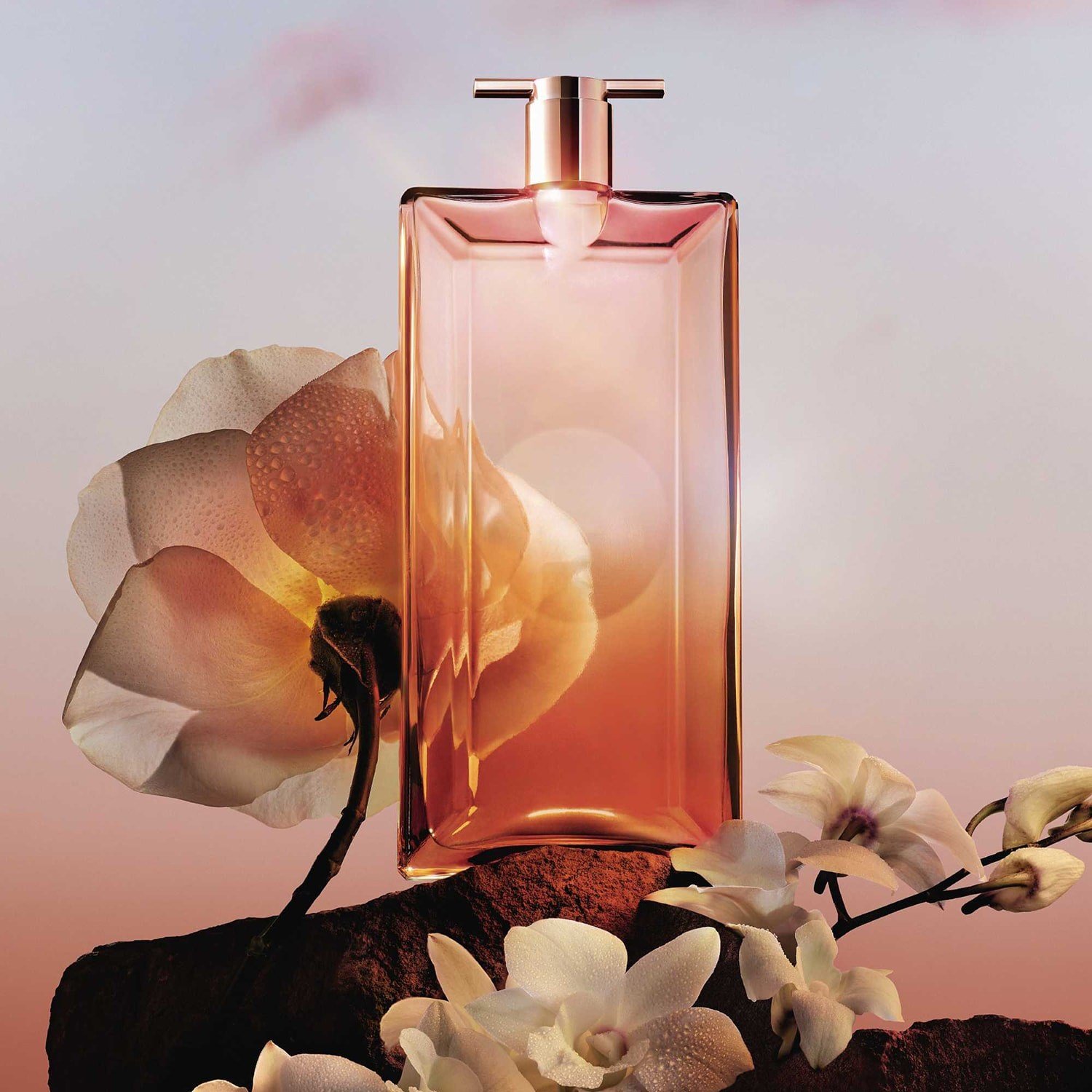 id-le-now-eau-de-parfum-89-a2f.jpg