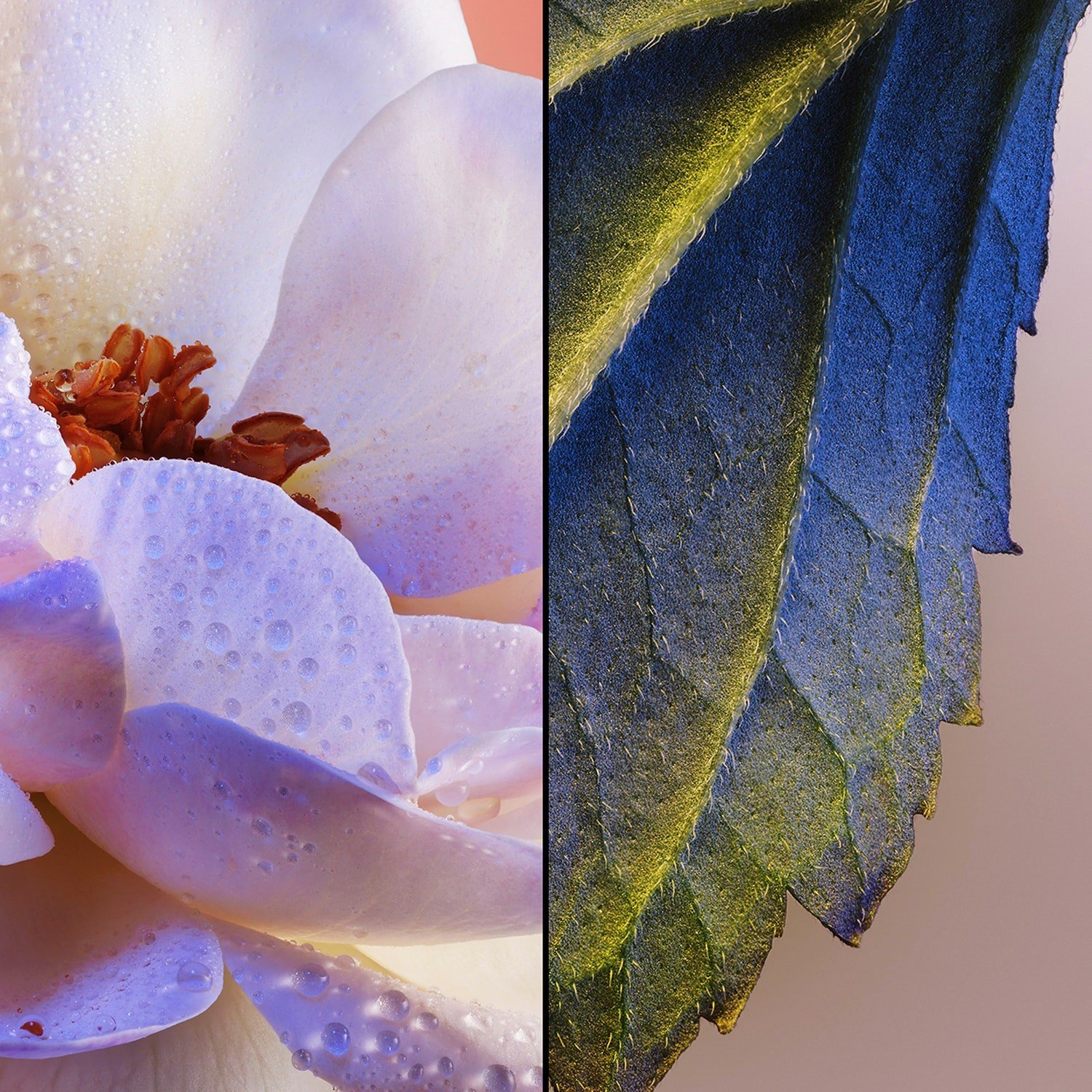 idylle-eau-de-parfum--9bca4.jpg