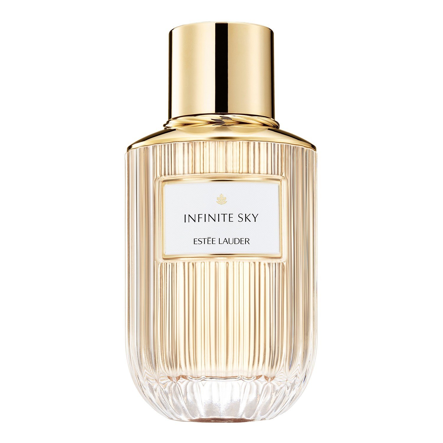 infinite-sky-eau-de-parfum-8a49a5.jpg